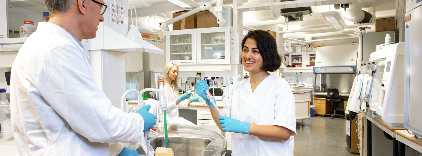 Forskere jobber på laboratoriet på institutt for oral biologi