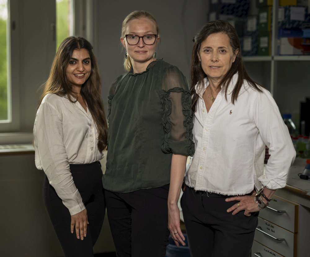 Researchers Nanci Soni, Britta Rued and Fernanda Petersen